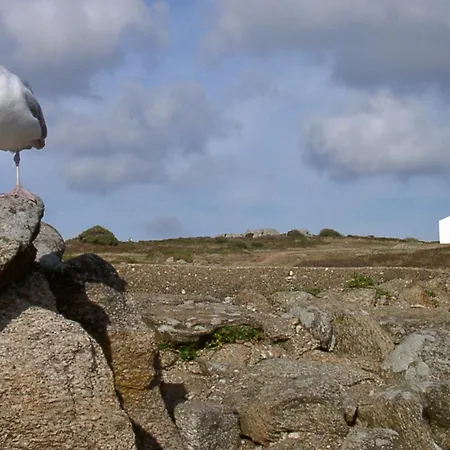 Maison De à L'ile D'yeu - Les Genêts * Ile d'Yeu