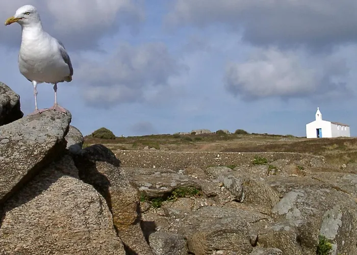 Maison De A L'ile D'yeu - Les Genets * Ile d'Yeu